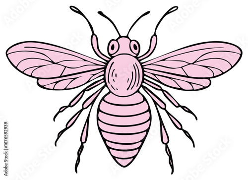 Pink bee illustration with wings, antennae, legs and black stripes, cute and detailed insect drawing