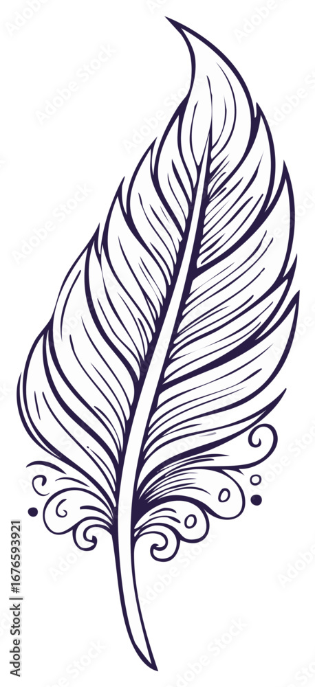 Obraz premium Decorative feather illustration, ornamental swirls, line art, quill, boho style