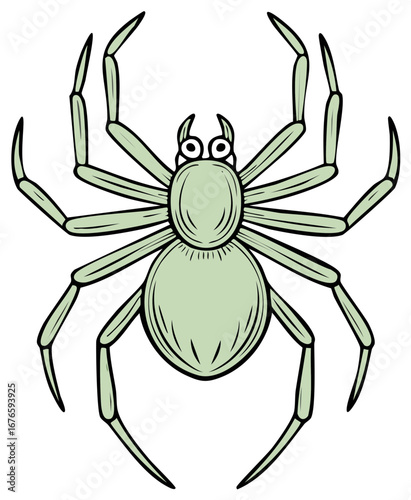 A light green spider with eight legs illustrated against a white background; spider is cartoonish with big eyes and a cute expression.