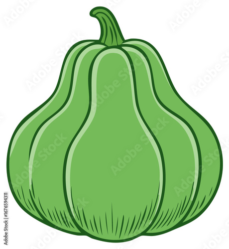 Green pattypan squash illustration, isolated vegetable design for healthy eating.
