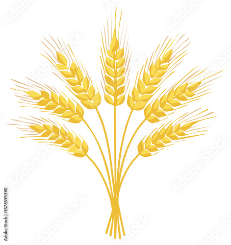 Golden wheat ears sheaf isolated, grains vector icon, agriculture harvest symbol for bread or cereal production