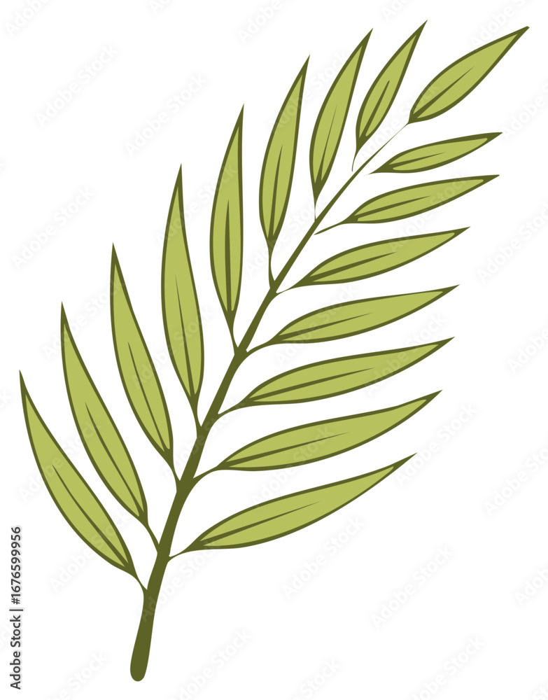 Fototapeta premium Stylized Green Leaf Branch with Green Outline on White Background