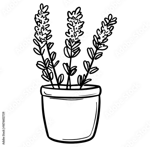 A charming hand-drawn illustration of a potted plant featuring lavender sprigs. This simple yet elegant design captures the beauty of nature and enhances any space.