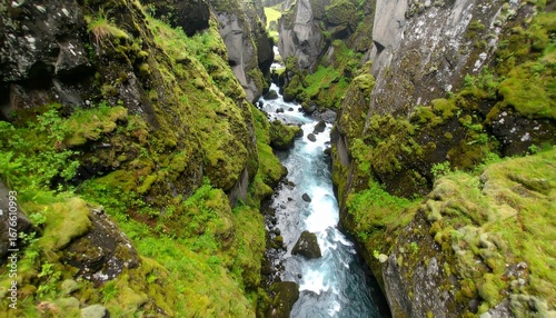 Powerful river flowing through a deep, rugged canyon with lush mossy green walls and abundant vegetation in a pristine wilderness.