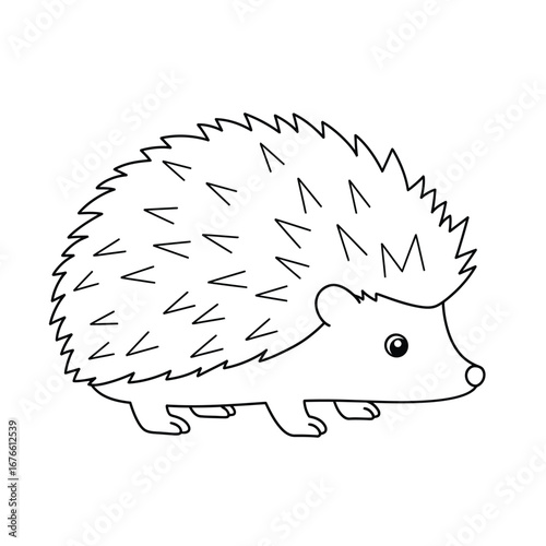 A cute little hedgehog outline on a white background for coloring