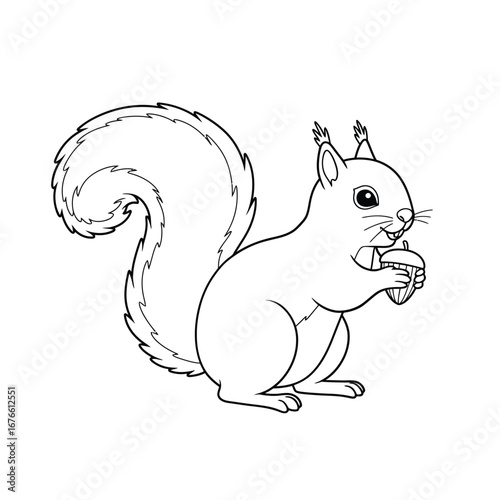 A cute cartoon squirrel holding an acorn on white background