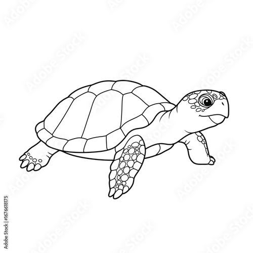 A black and white turtle outline on a white background for coloring