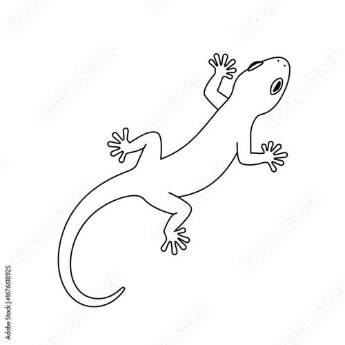 a black and white drawing of a lizard on a white background