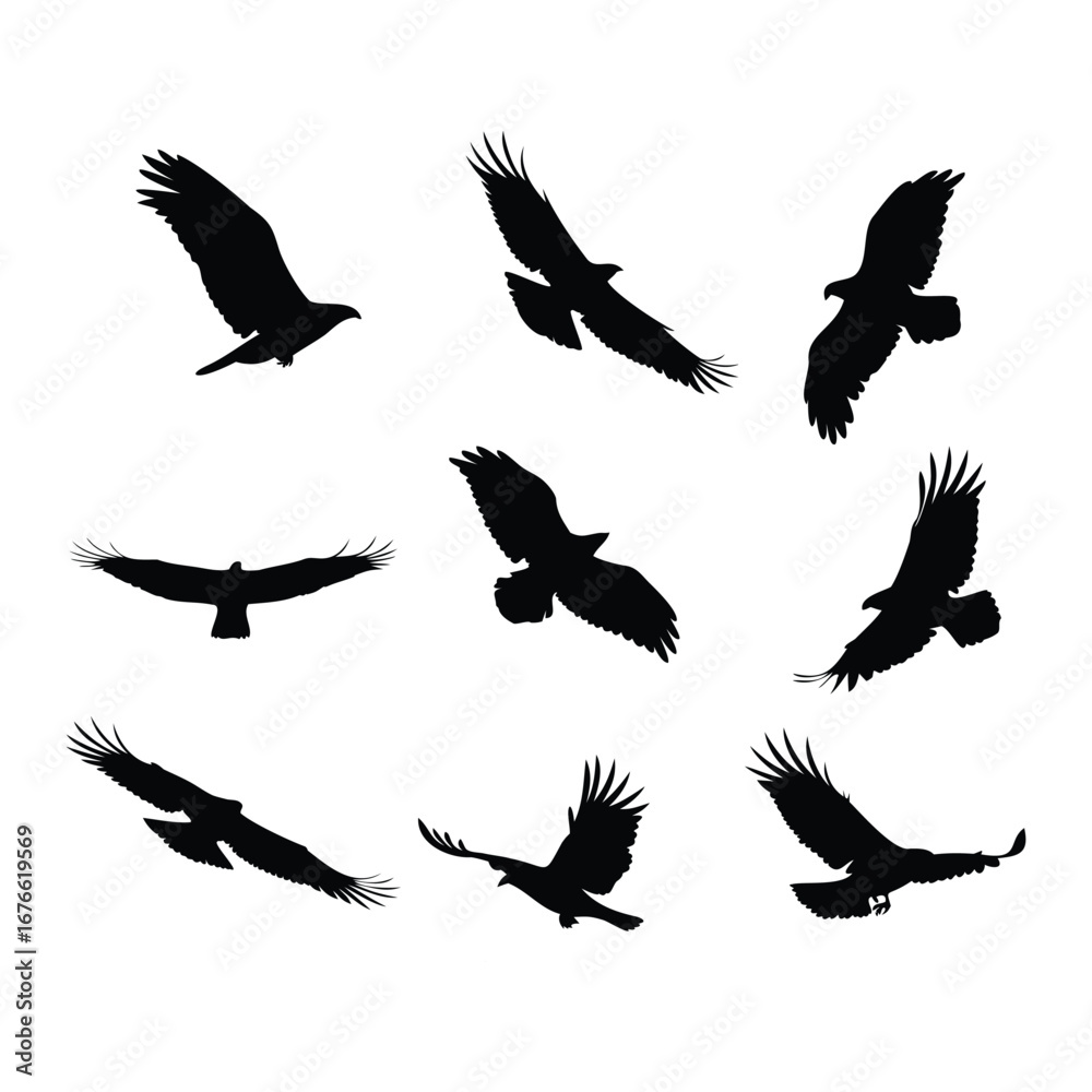 Obraz premium Dynamic Bird Silhouettes in Flight – Minimalist Vector Set