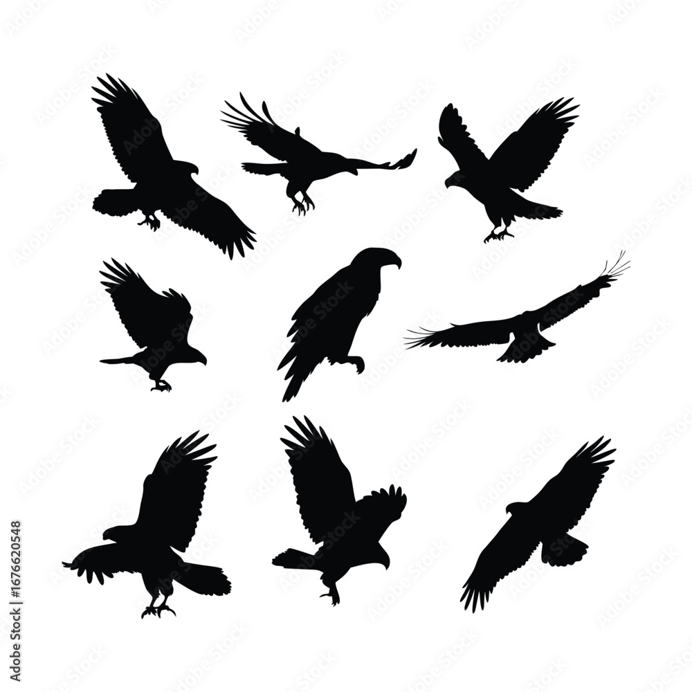 Fototapeta premium Dynamic Bird Silhouettes in Flight – Minimalist Vector Set