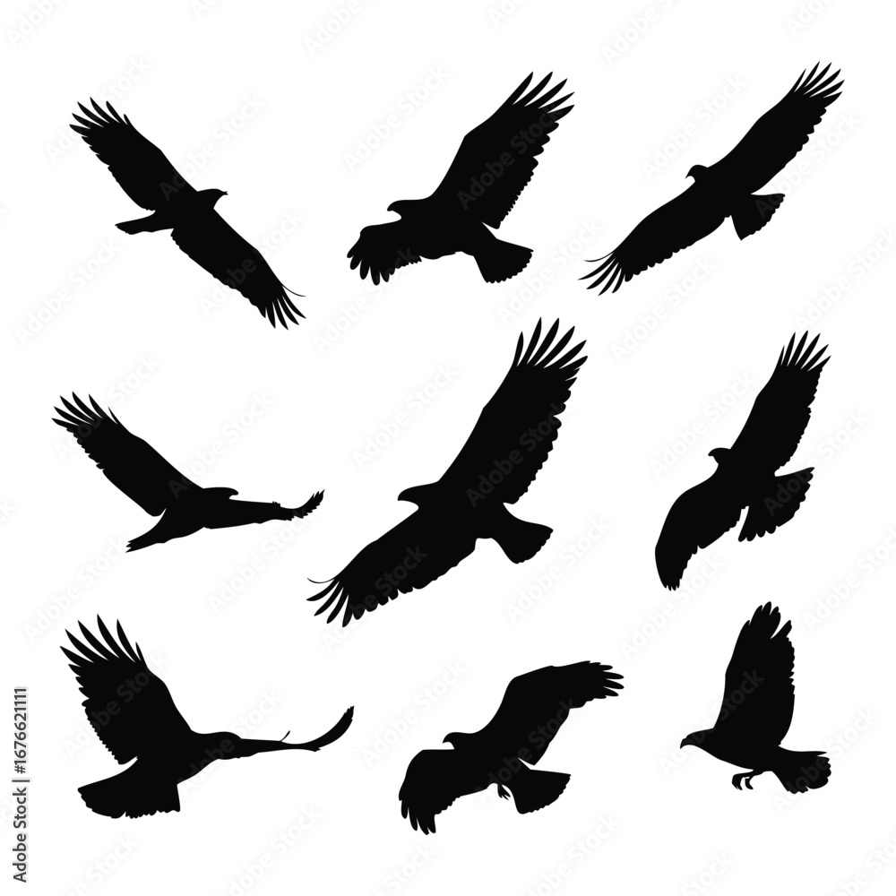 Obraz premium Dynamic Bird Silhouettes in Flight – Minimalist Vector Set