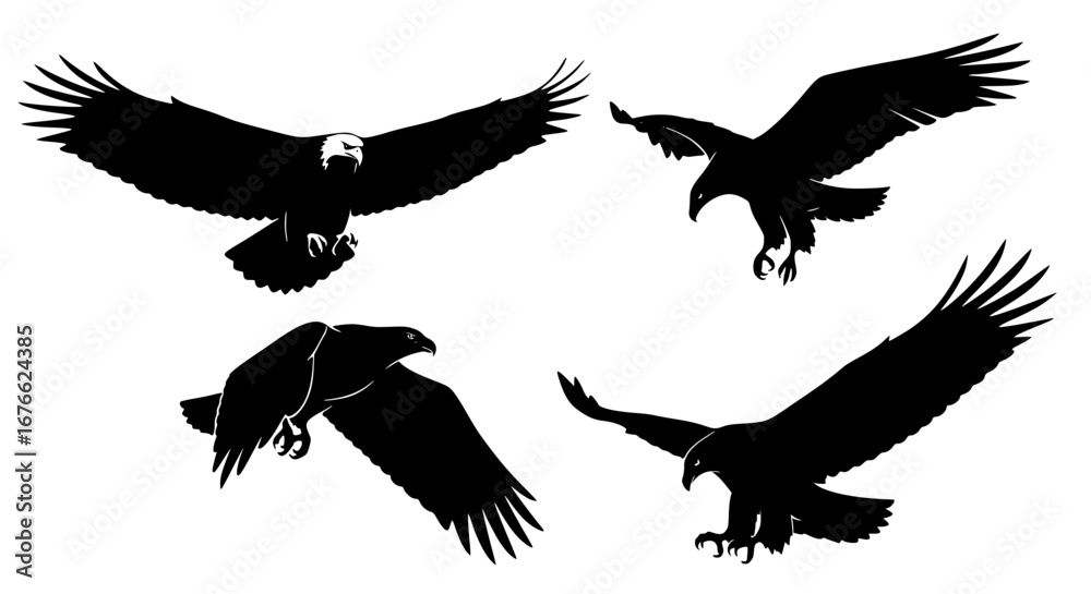 Obraz premium Vector art of silhouette of eagles in different poses for POD