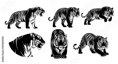 Vector art of tiger silhouettes, vector illustration set for POD