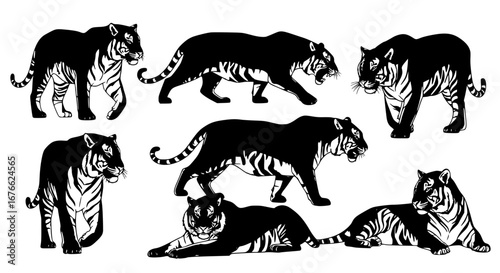 Vector art of tiger silhouettes, vector illustration set for POD