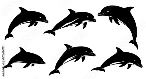Vector art of set of dolphin silhouettes for design and decoration for POD