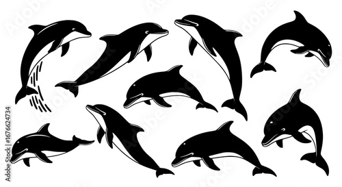 Vector art of collection of dolphin silhouettes for design use for POD