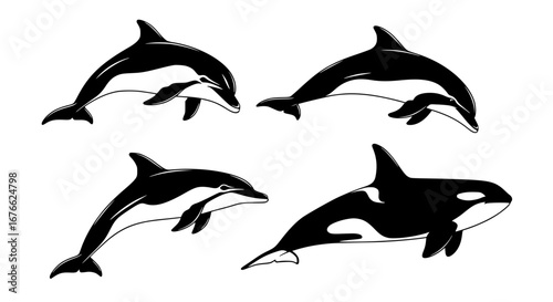 Vector art of collection of dolphin and orca drawings in black and white for POD