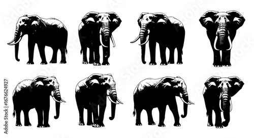 Vector art of silhouettes of a herd of elephants in various poses for POD