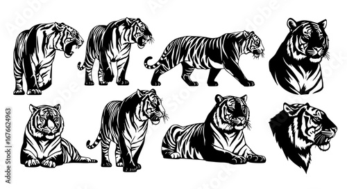 Vector art of collection of tiger silhouettes in different poses for POD