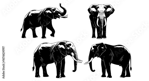 Vector art of collection of elephant silhouettes, vector illustration for POD