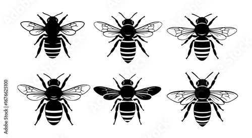 Vector art of collection of bee illustrations for design use for POD