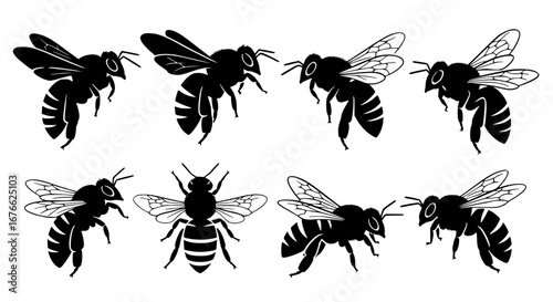 Vector art of collection of bee silhouettes for design use for POD