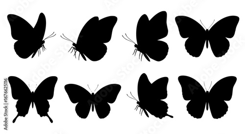 Vector art of collection of butterfly silhouettes for design use for POD