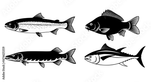 Vector art of silhouette of different fish species for POD