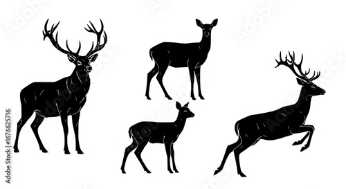 Vector art of collection of black and white deer illustrations for POD