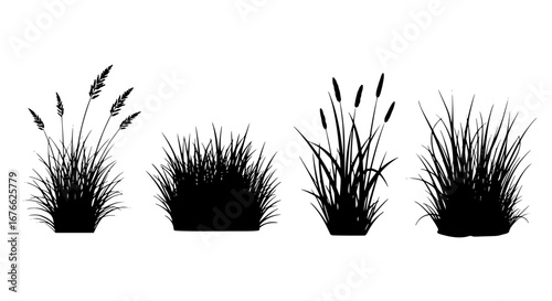 Vector art of set of cattail grass silhouette for design element for POD