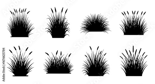 Vector art of set of cattail grass silhouette for design element for POD