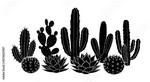 Vector art of collection of various cactus and succulent plants for POD