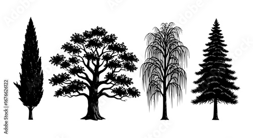 Vector art of collection of various tree silhouettes, vector illustration for POD