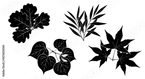 Vector art of collection of different leaf branches in black and white for POD