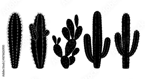 Vector art of variety of cactus plant silhouettes for design for POD
