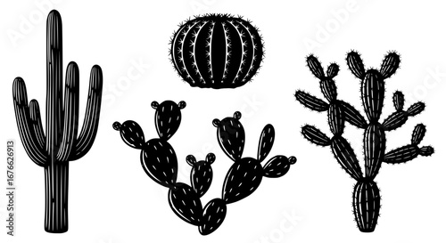 Vector art of set of different cactus silhouette for POD