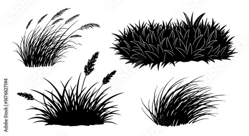 Vector art of set of grass tufts for landscape and garden design for POD