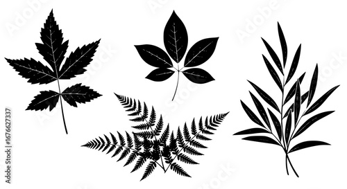 Vector art of set of different leaf silhouettes for design element for POD