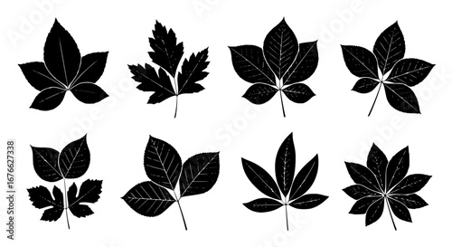 Vector art of collection of various leaf silhouettes for design use for POD