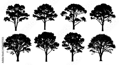Vector art of set of different tree silhouettes for design use for POD