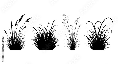Vector art of silhouette of various grass tufts for design element for POD
