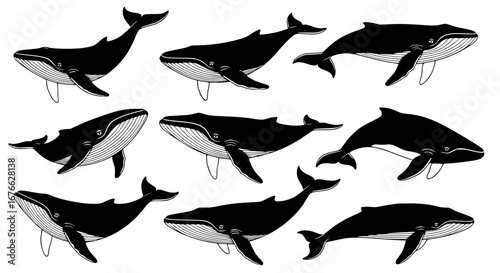 Vector art of collection of humpback whale silhouettes in vector format for POD