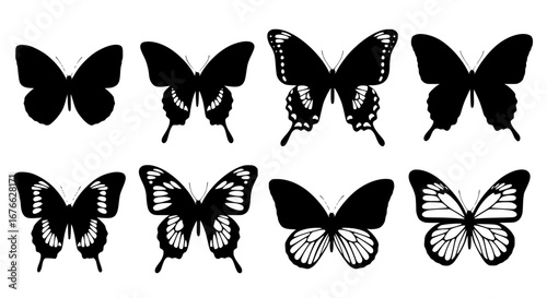 Vector art of collection of butterfly illustrations for design use for POD