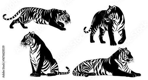 Wallpaper Mural Vector art of collection of tiger illustrations in black and white for POD Torontodigital.ca