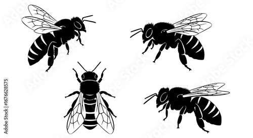 Vector art of collection of bees in black and white vector illustration for POD