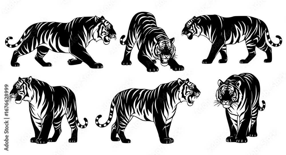 Obraz premium Vector art of collection of tiger illustrations for design use for POD