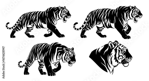 Vector art of tiger silhouettes in different poses for POD