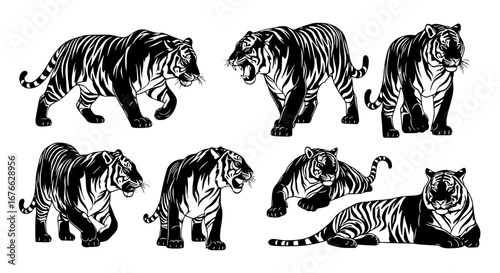 Vector art of collection of tiger illustrations, in various poses for POD