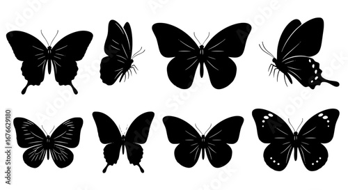 Vector art of set of butterfly silhouettes, various positions for POD