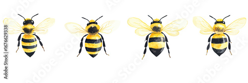 Set of four realistic bees with detailed yellow and black striped bodies and translucent wings on white background isolated vector illustration for nature and insect design